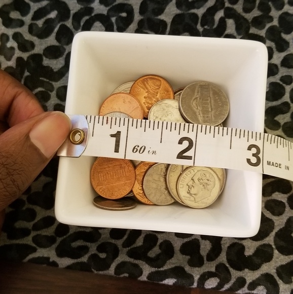 Change Dish - Picture 3 of 3